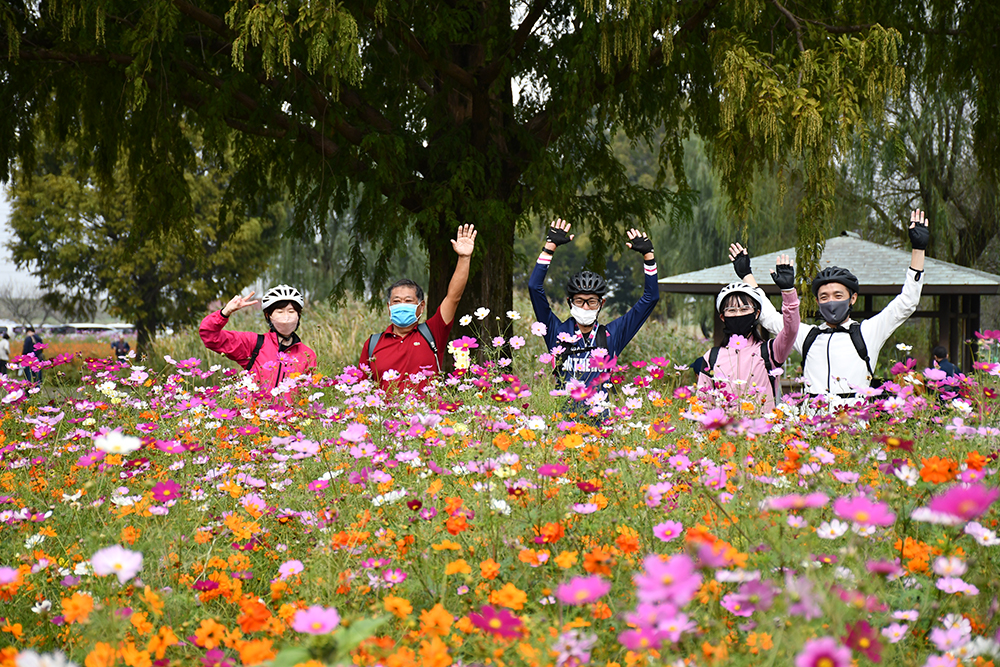 コスモス＆手賀沼サイクリングツアー！南流山店 田中店長がご紹介