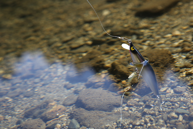 Casket カスケット｜トラウト、バス、ソルトルアー専門店｜通販可能｜