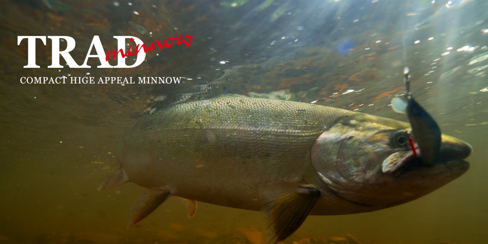 Casket カスケット｜トラウト、バス、ソルトルアー専門店｜通販可能｜