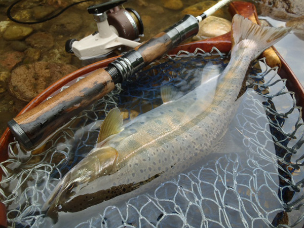 Casket カスケット｜トラウト、バス、ソルトルアー専門店｜通販可能｜