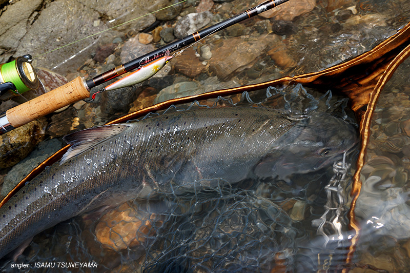 Casket カスケット｜メーカー名｜通販可能｜