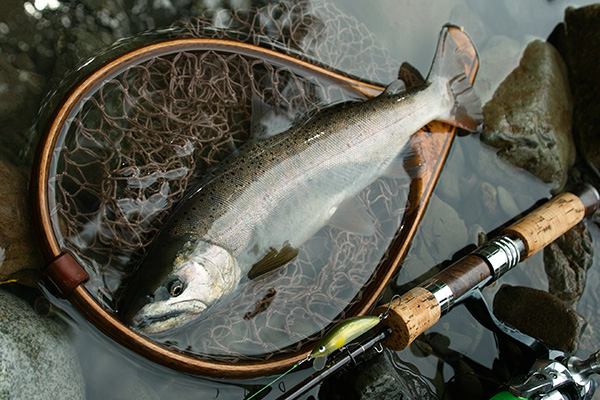 Casket カスケット｜トラウト、バス、ソルトルアー専門店｜通販可能｜