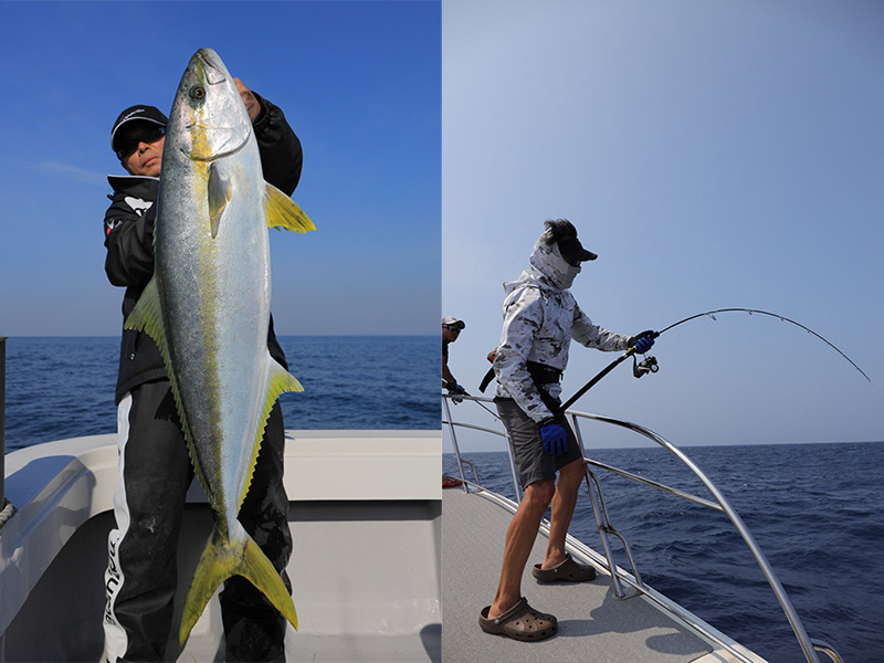 Casket カスケット｜カーペンター正規取扱店｜KLLサンダーストラック｜