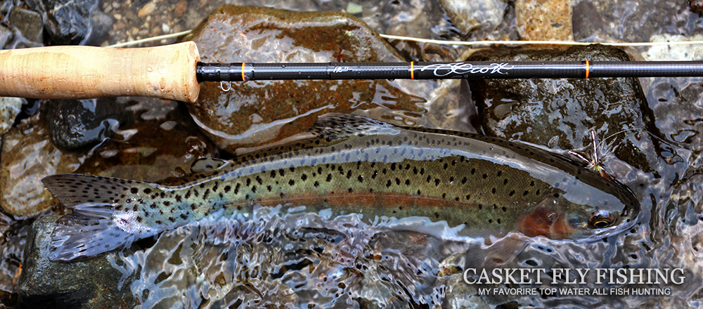 Casket カスケット｜トラウト、バス、ソルトルアー専門店｜通販可能｜