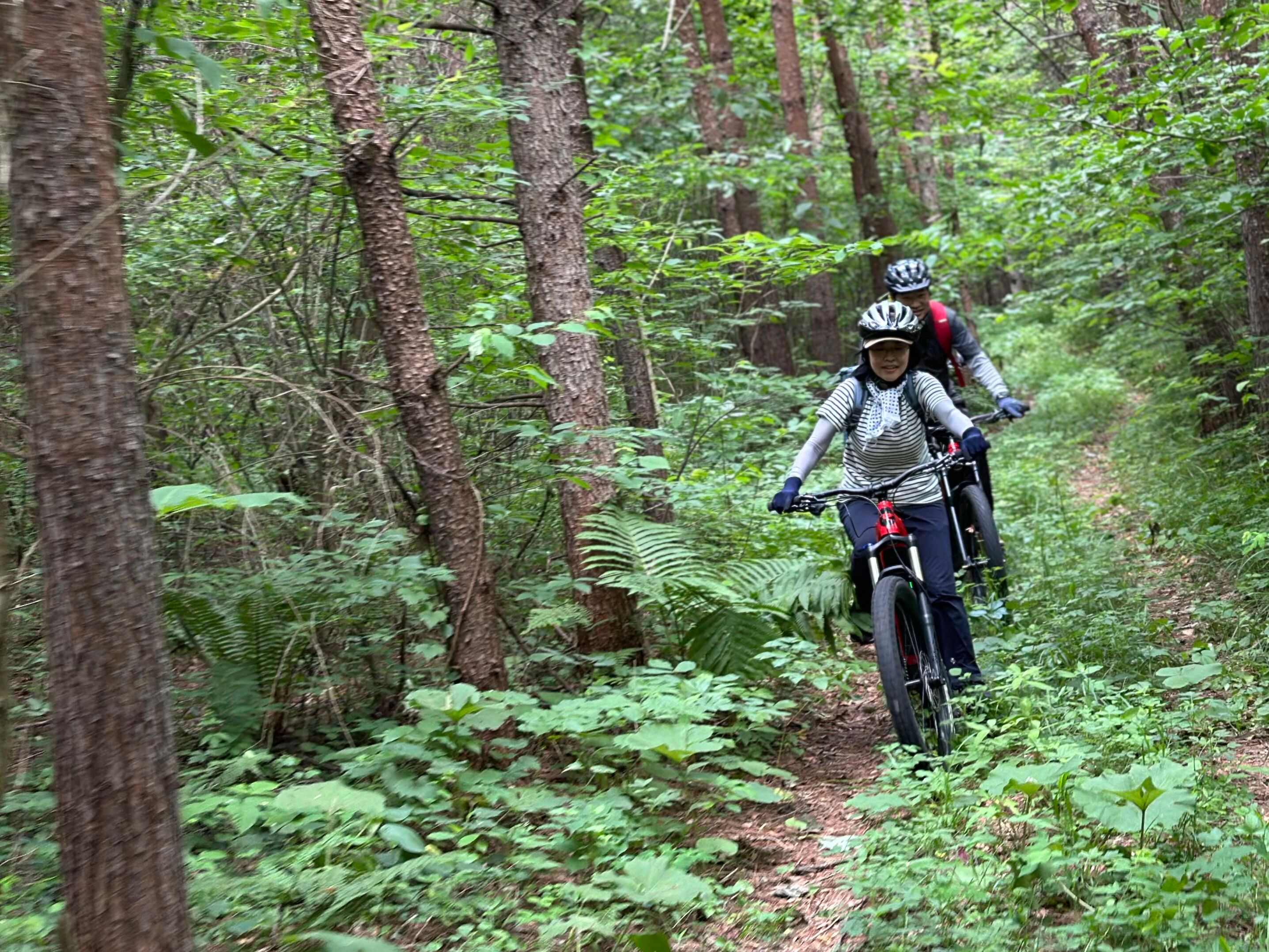 岩手/八幡平・安比マウンテンバイク - CLUBMAN