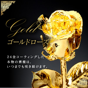 ゴールドローズ・レッドローズ class salon