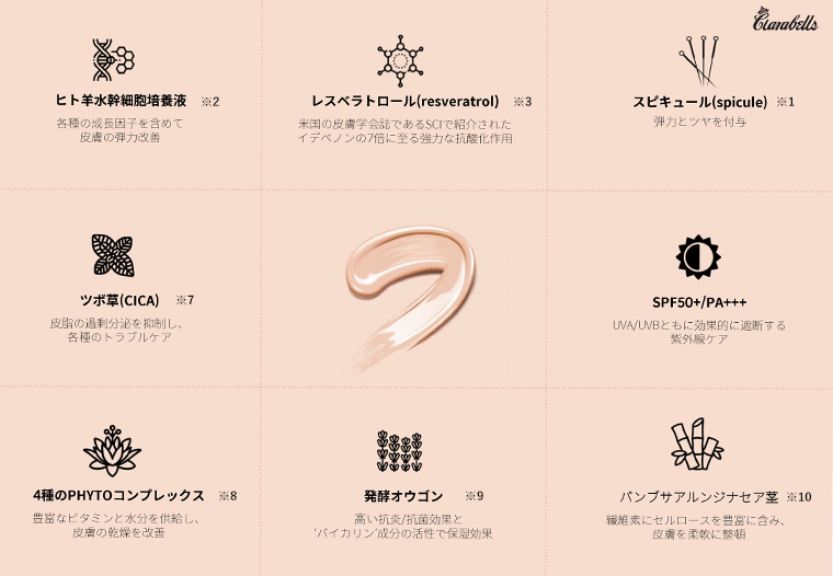 SPICULE FOUNDATION ｜ クララベルス（Clarabells）【公式サイト】