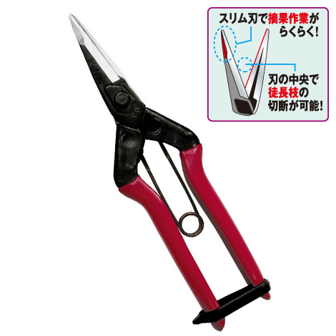 ハサミならお任せ。業務用鋏(はさみ)は近正