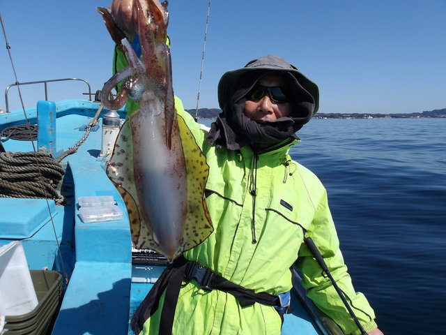 関東で釣れたアオリイカの最新釣果、釣り情報【2026年3月】
