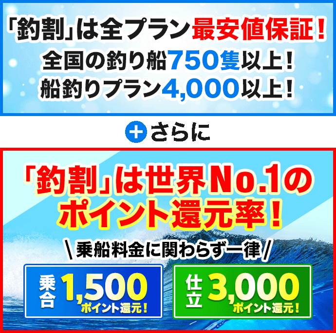 関東で釣れたアオリイカの最新釣果、釣り情報【2026年3月】