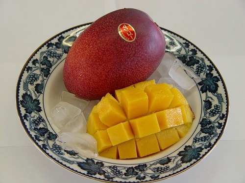 マンゴー - 農政課