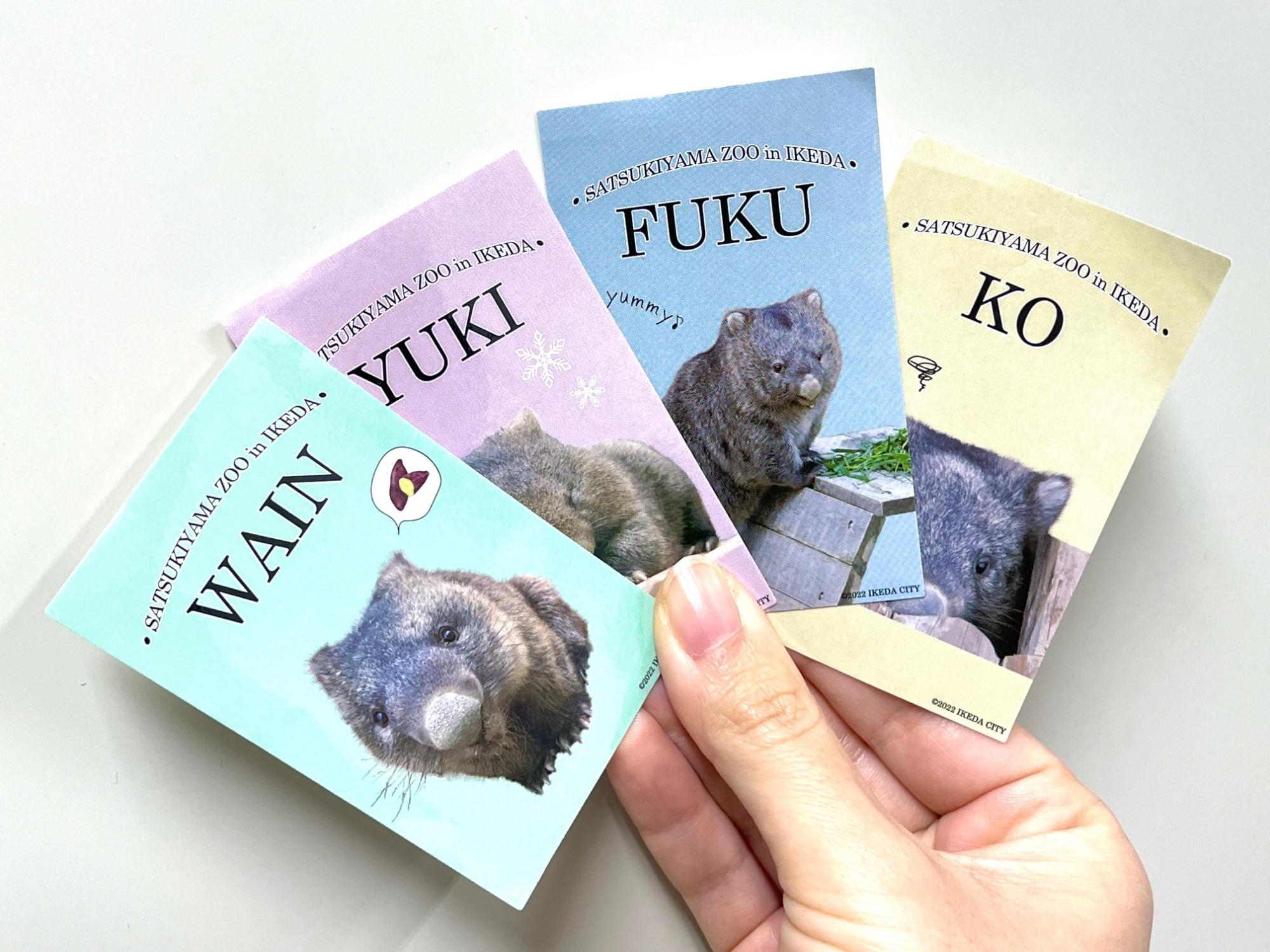 ウォンtoいけだ第7弾】フクがあるかも！？ウォンバット課(自称)Twitter