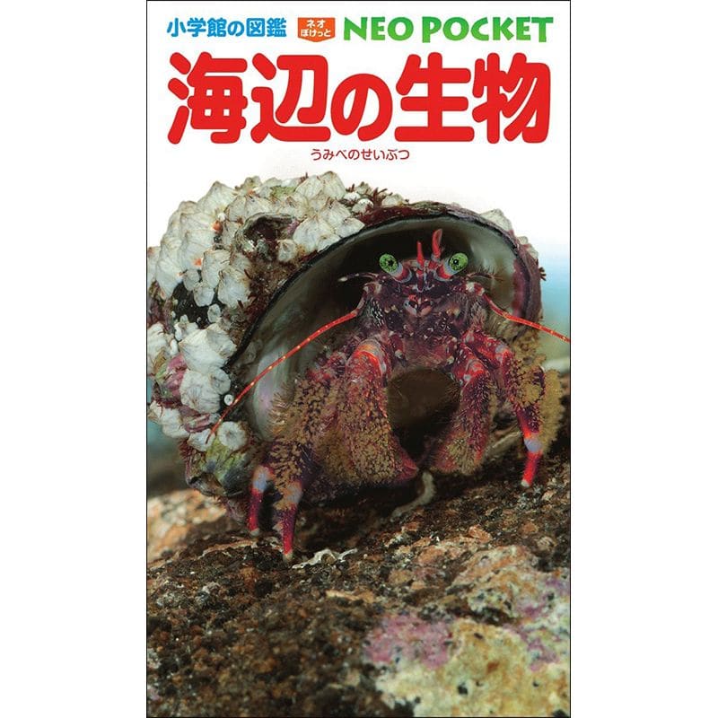 小学館の図鑑NEO POCKET -ネオぽけっと- 海辺の生物／白山義久、甲斐