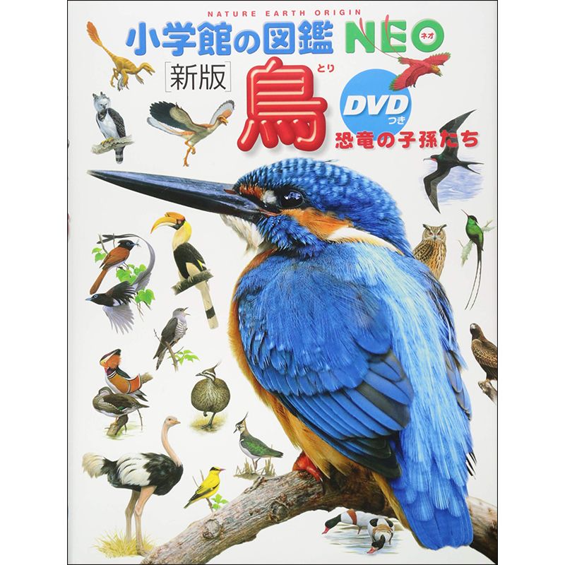 小学館の図鑑NEO〔新版〕 鳥 DVDつき／上田恵介 柚木修 水谷高英｜絵本