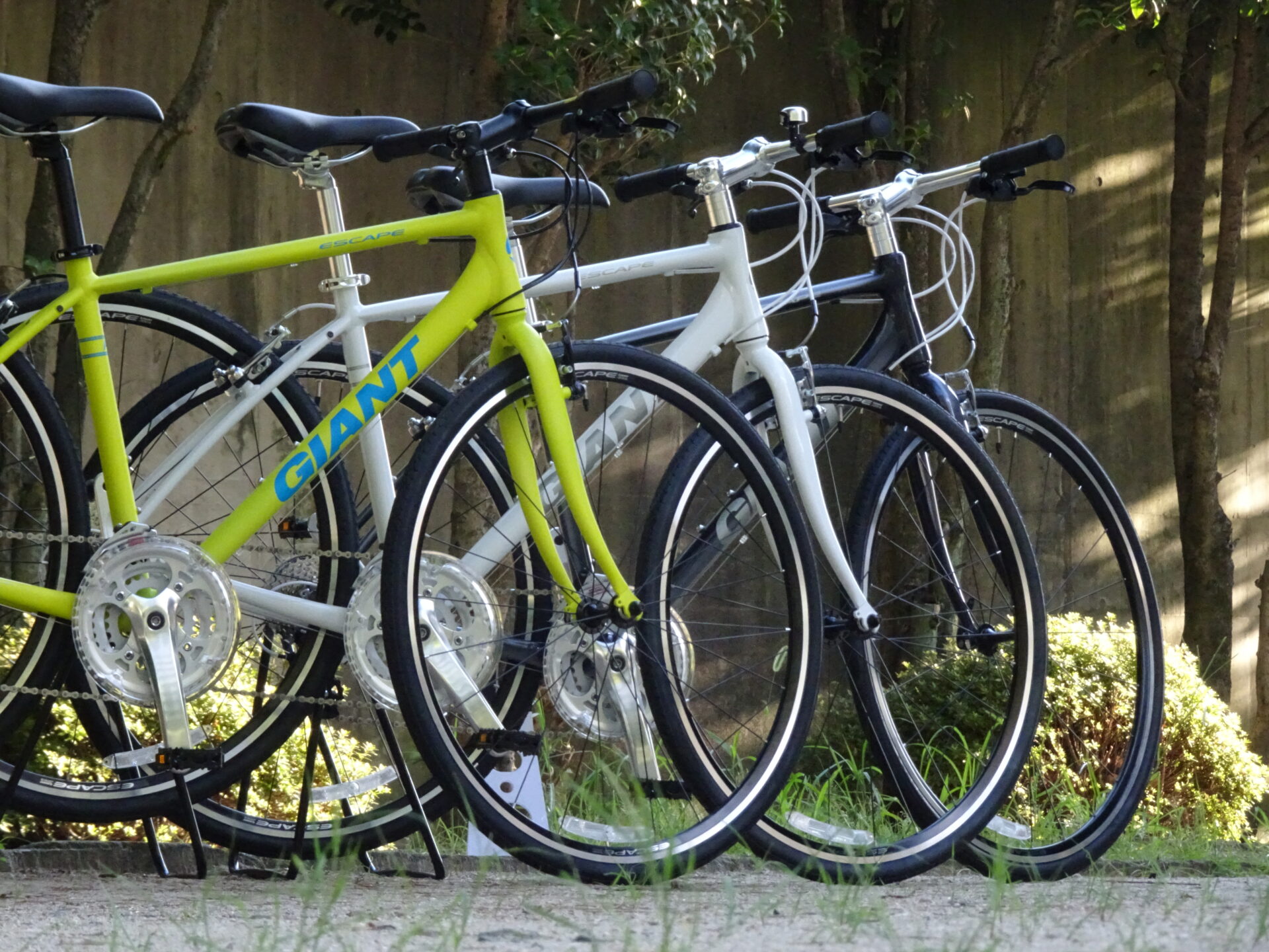 2018年モデル】GIANTから王道クロスバイクESCAPE R3のご紹介です