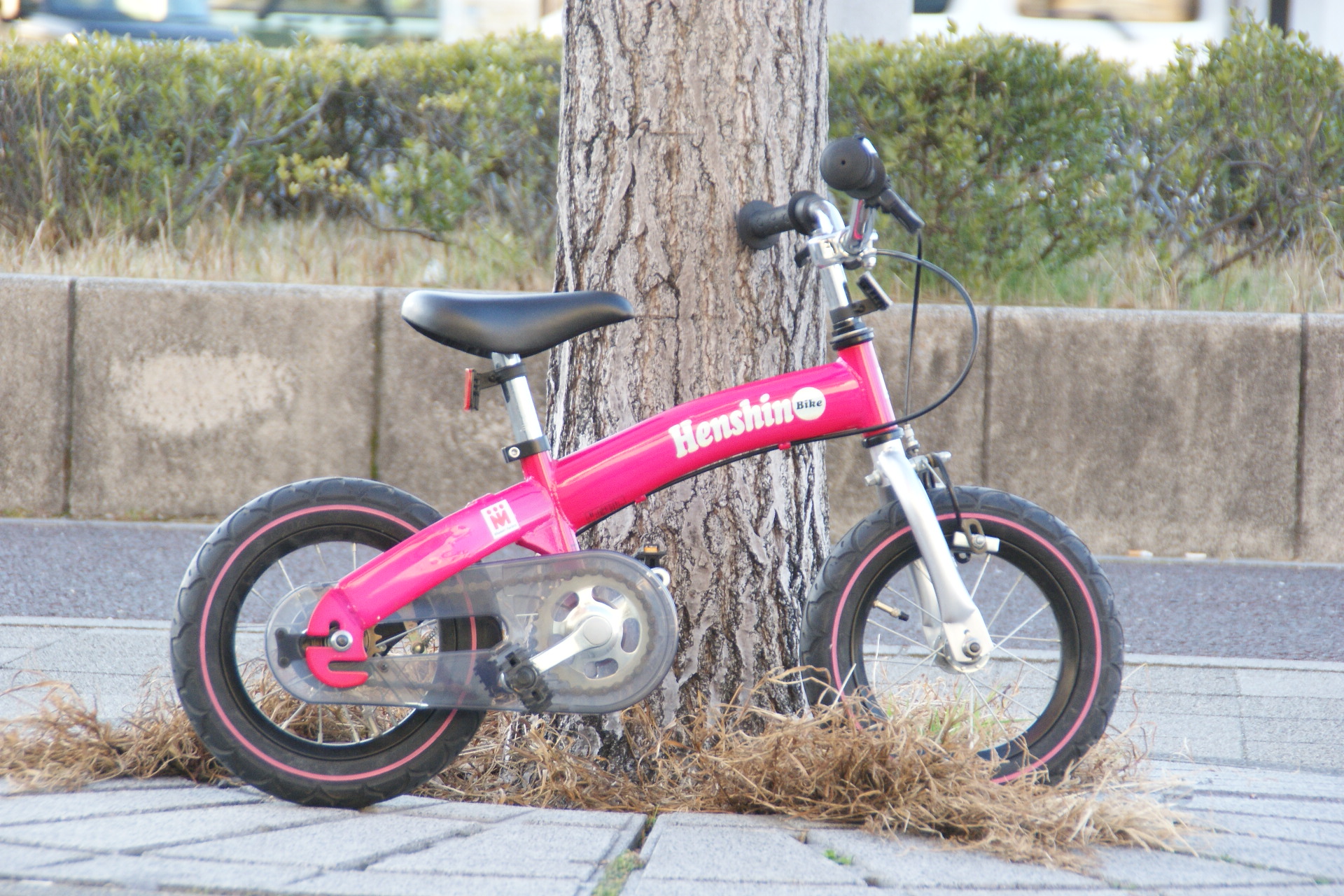 初めての自転車はコレ！へんしんバイク 10インチ・12インチ【USED