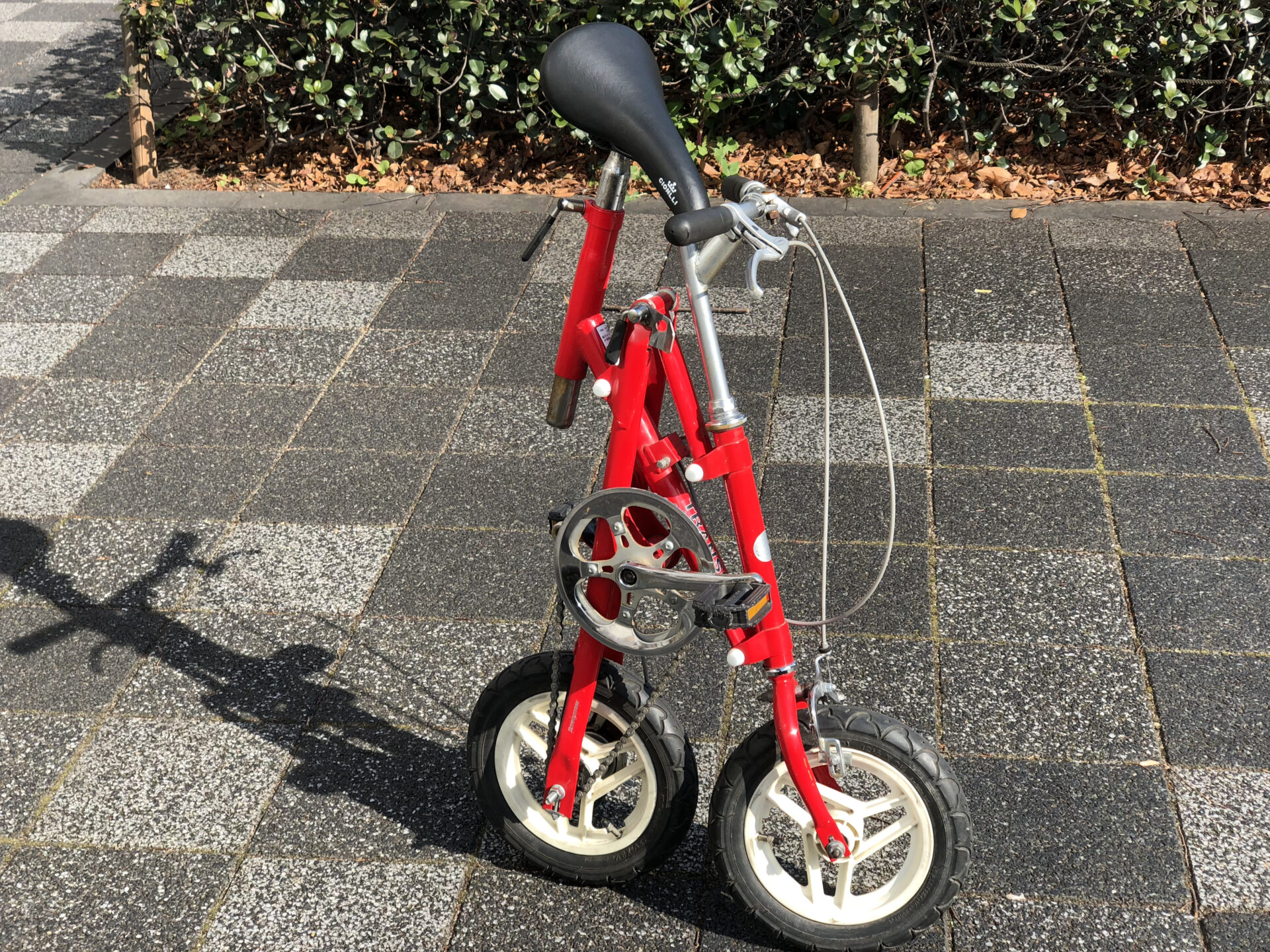 早い者勝ちの店頭在庫！TRANSIT compact（トランジットコンパクト