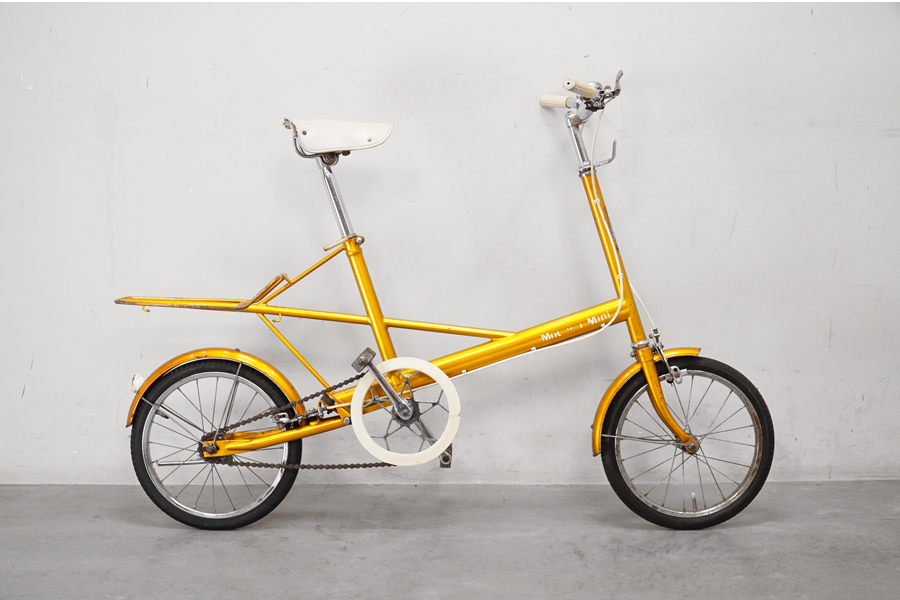 R&M Riese & Muller(ライズアンドミューラー) BD-Frog ミニベロ高価