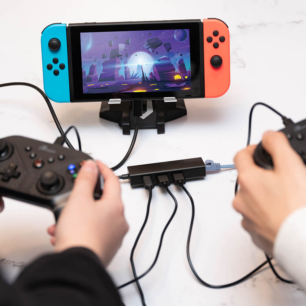 Switch用 有線LAN Wポート＋チャージ | Switch用 周辺機器アクセサリー