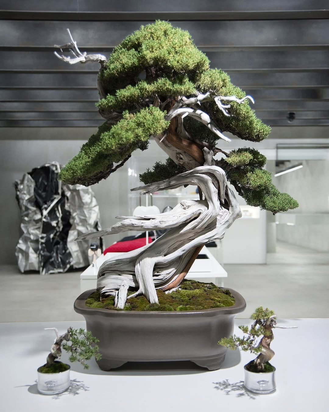 NEWS｜AMBUSH DESIGN｜アンブッシュデザイン