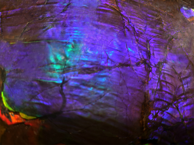 リラクゼーションギャラリー アンモライト研究所