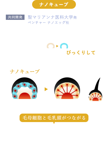 リ;モウケア（スカルプローション） | 株式会社アンテナ