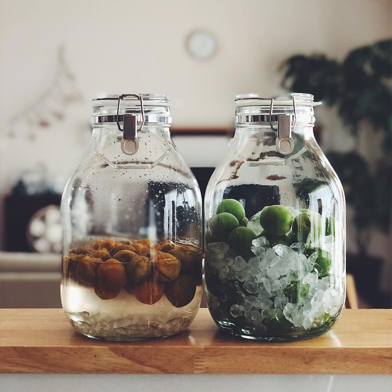 梅酒、梅シロップの季節到来、インスタグラマーさんも愛用者多数の