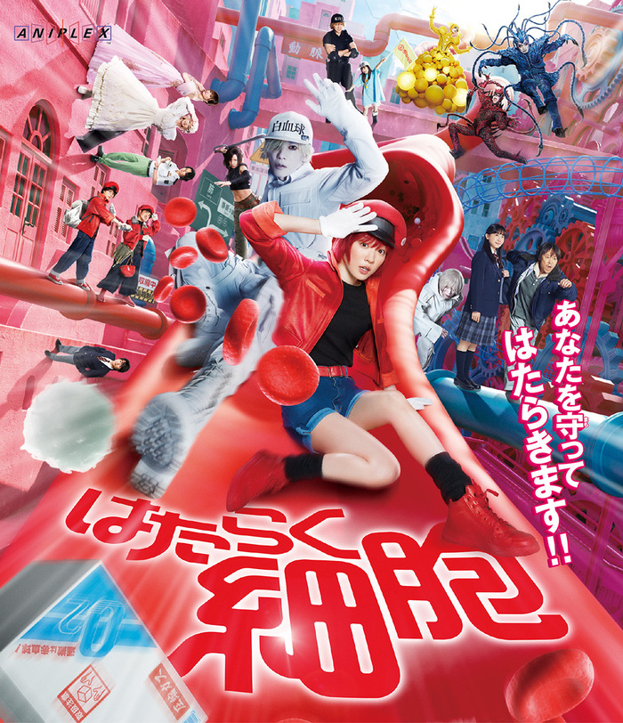 はたらく細胞 | 映像・音楽商品 | はたらく細胞 | 実写ドラマ・映画