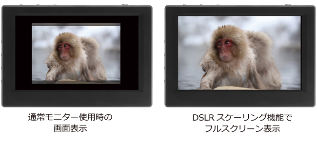 HDMI入出力端子搭載高機能5型フィールドモニター 「55HA」| ADTECHNO