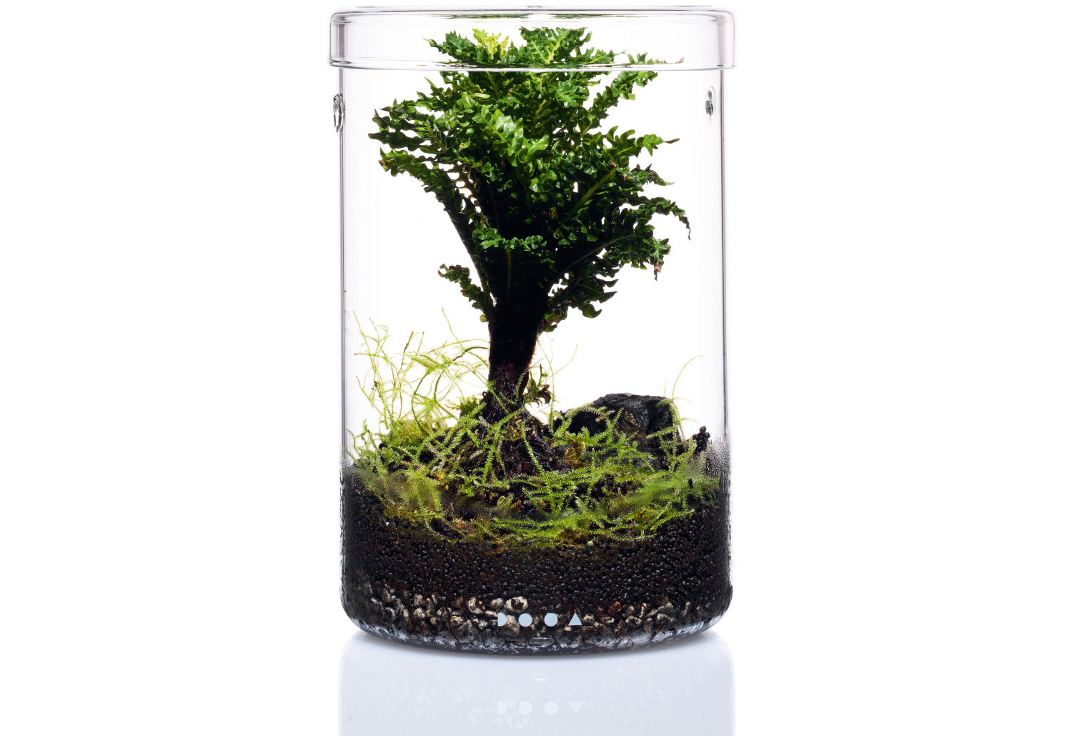 New Style Indoor Green – Style05 | AQUA DESIGN AMANO