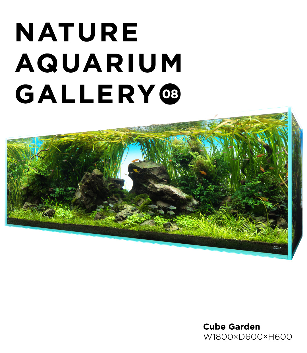 Amano's view – Nature Aquarium World – #3 | en