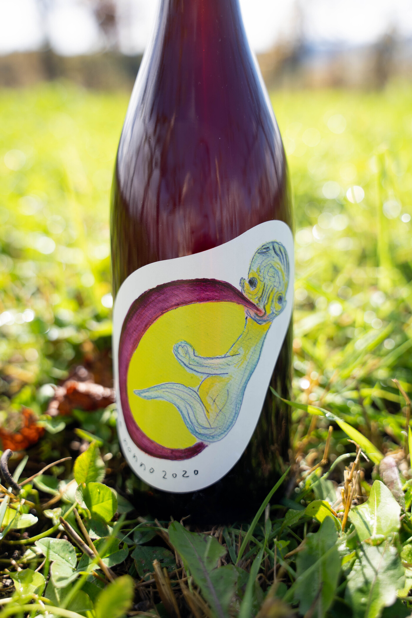 北海道ナチュラルワイン × 現代美術アーティスト加藤泉「Ape nonno2020