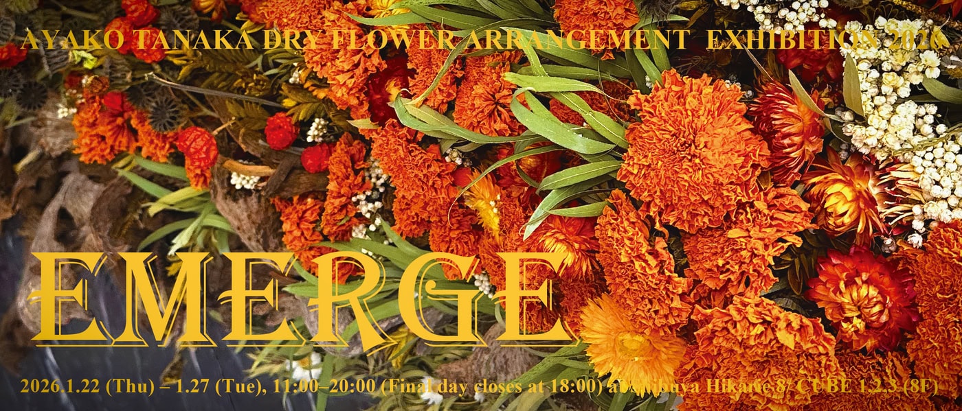 アヤコタナカが渋谷ヒカリエで展覧会「EMERGE」を開催 – ADFウェブ