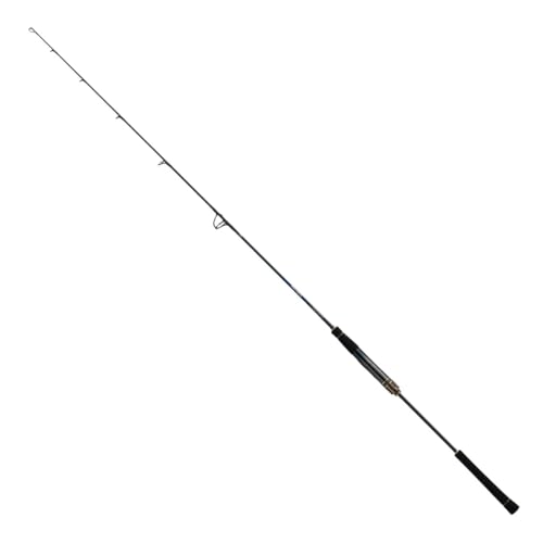 Daiwa 25 SALTIGA J TS Technical Steer 55S-3 Spinning Rod | eBay