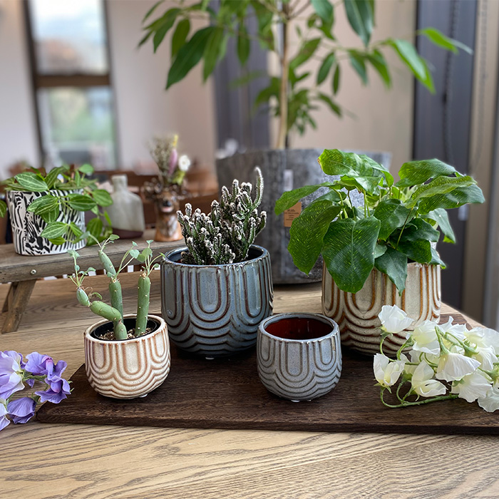 Jilly セラミック鉢カバー ブルー Mサイズ - 姫路市 雑貨店 PORTUS