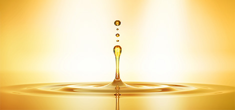 チェルラー パーフェクト エッセンス＆モイスチャー セット［医薬部外