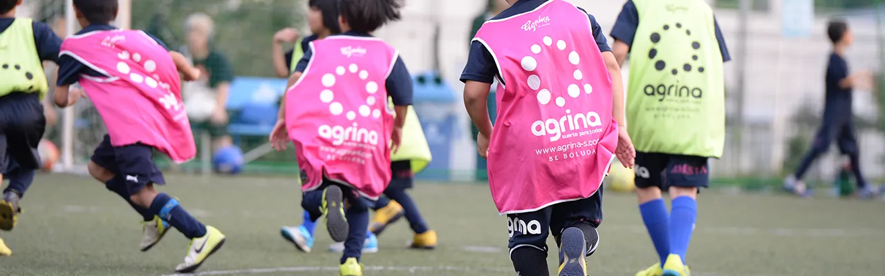 アクオレビブスvsアグリナビブス：プロが教える高品質ビブスの比較と活用術