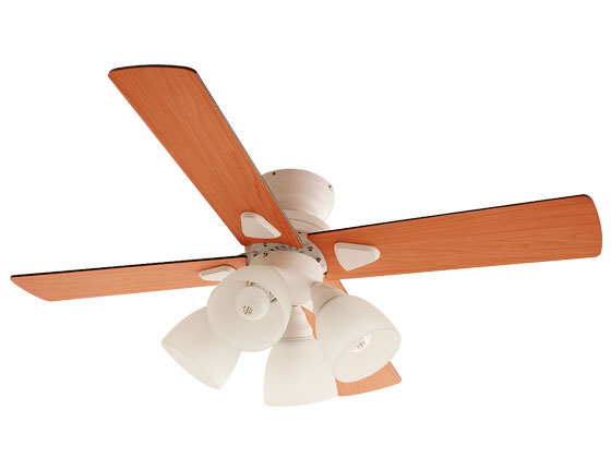 シーリングファン windouble〔ウィンダブル〕 4灯 | 家具・インテリア