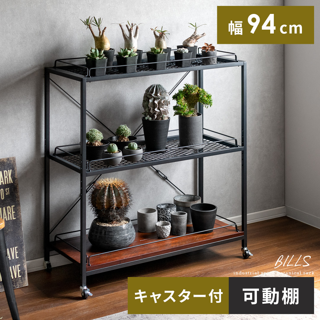 ヴィンテージ調ボタニカルラック BILLS(ビルズ) | 家具・インテリア