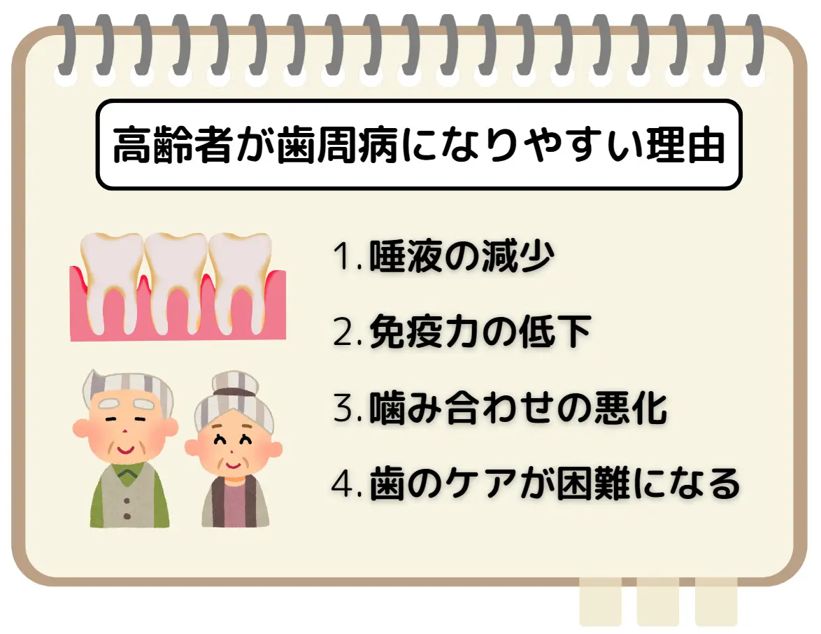 高齢者が気をつけたい歯周病の予防とケアのポイント