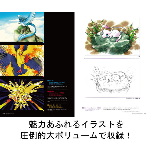 Pokemon Card Game Art collection & Promo card Illustration Art