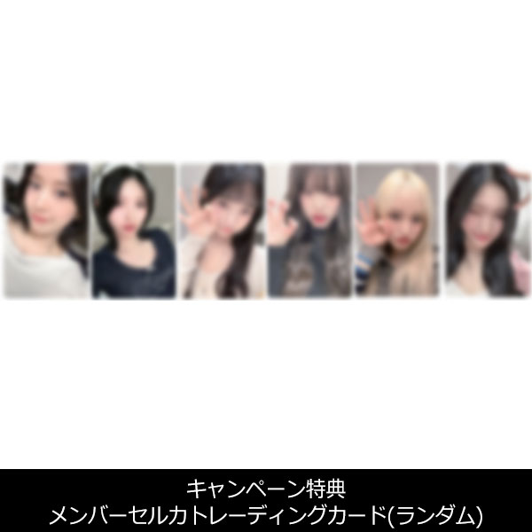 IVE JAPAN OFFICIAL FANCLUB「DIVE JAPAN」限定】フォンタブ