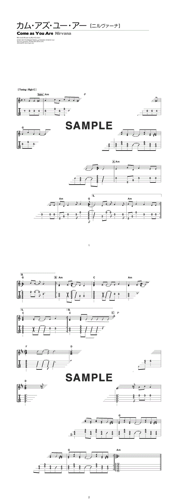 NIRVANA ギタースコア 5冊 カートコバーン ニルヴァーナ 楽譜 TAB