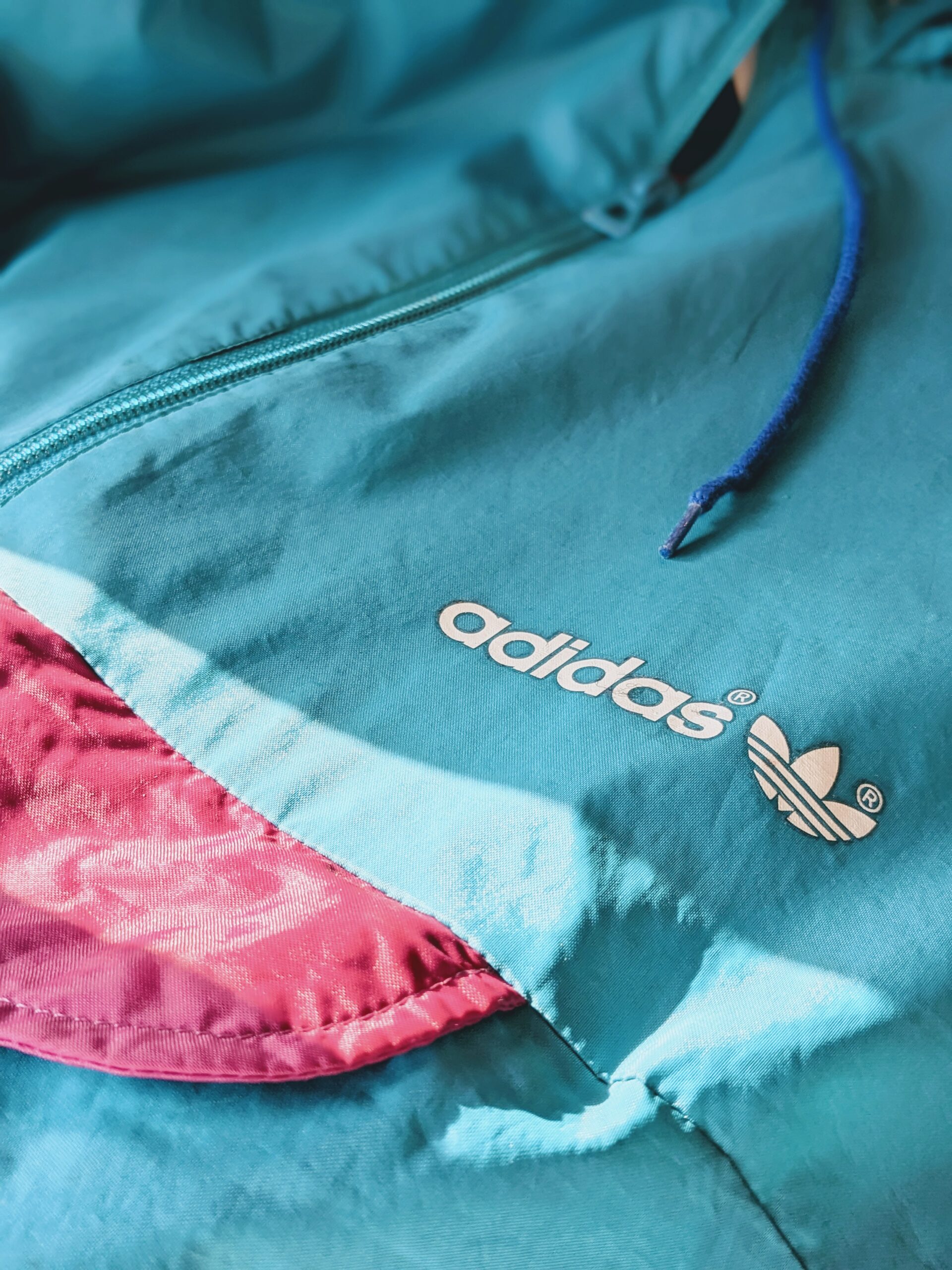 PXL_20230308_233251957.