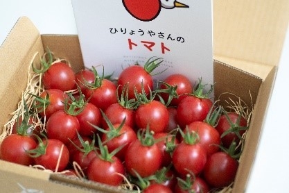 肥料屋さんのトマト」、市販の4倍価格でも約8割はリピート売上 コロナ