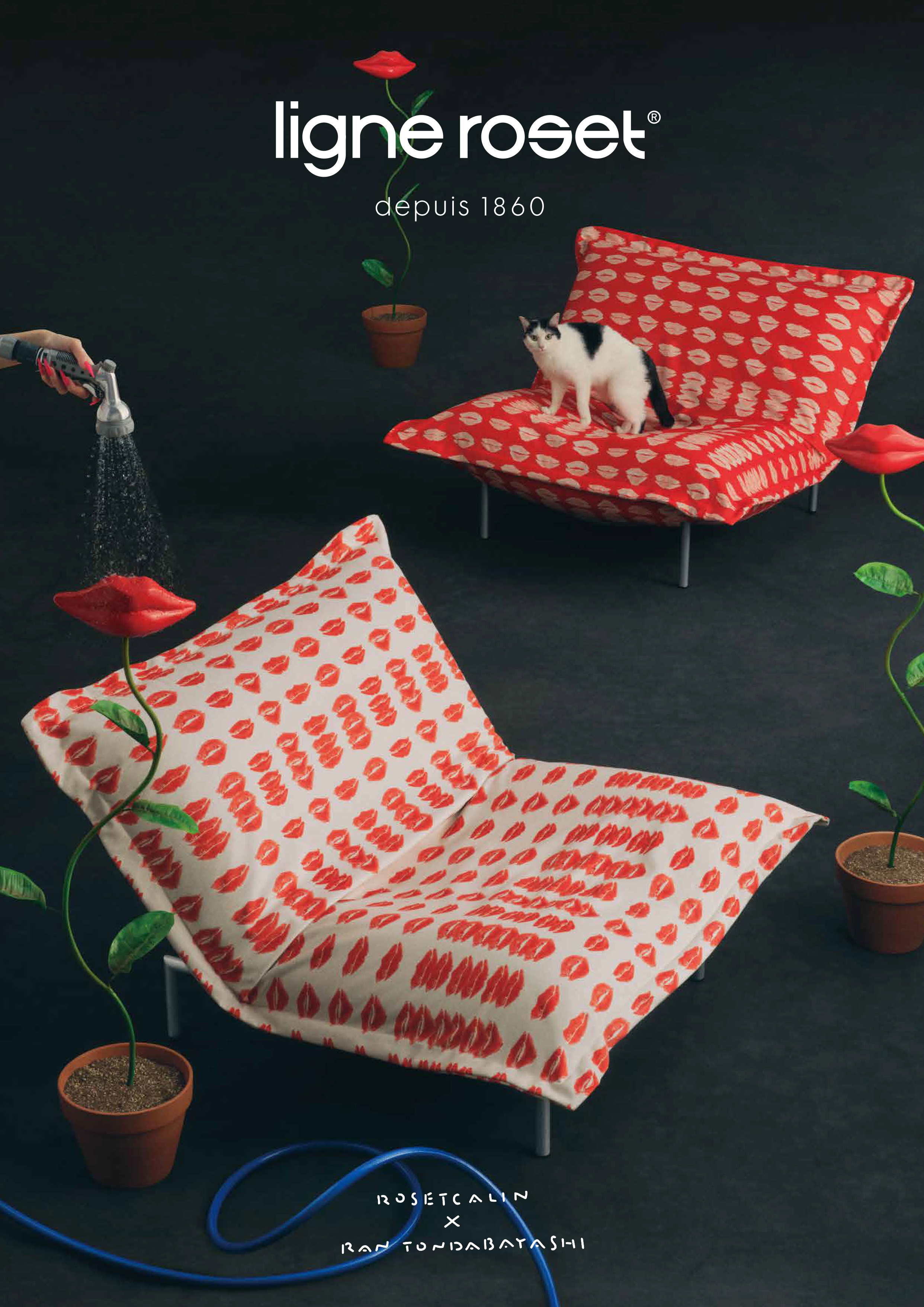 大好評の「とんだ林蘭×リーン・ロゼ」コラボ！ 第2弾は、《見る距離