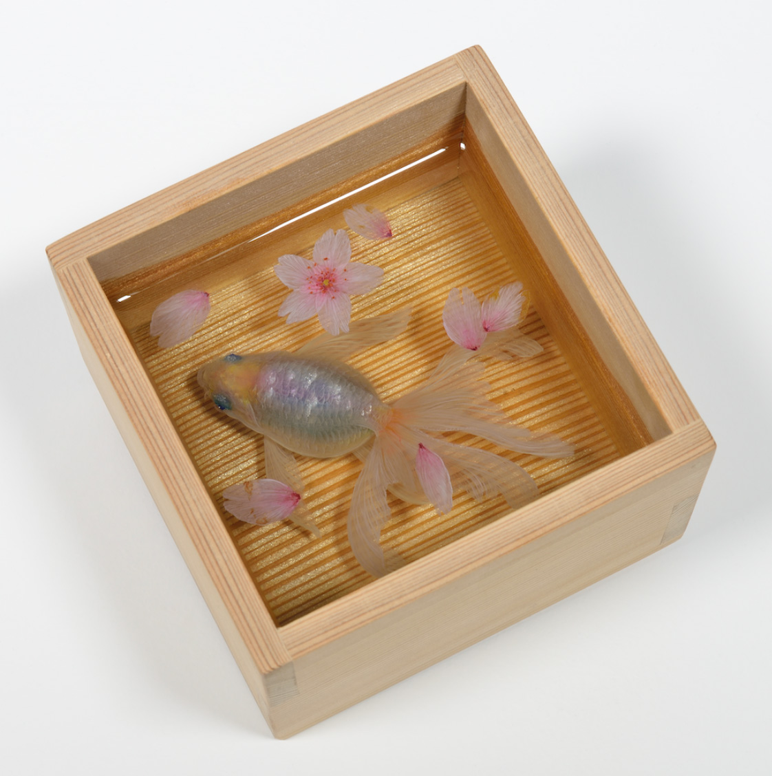 大阪梅田に不思議な2.5Dの金魚アートが登場 深堀隆介展「きんぎょ鉢と