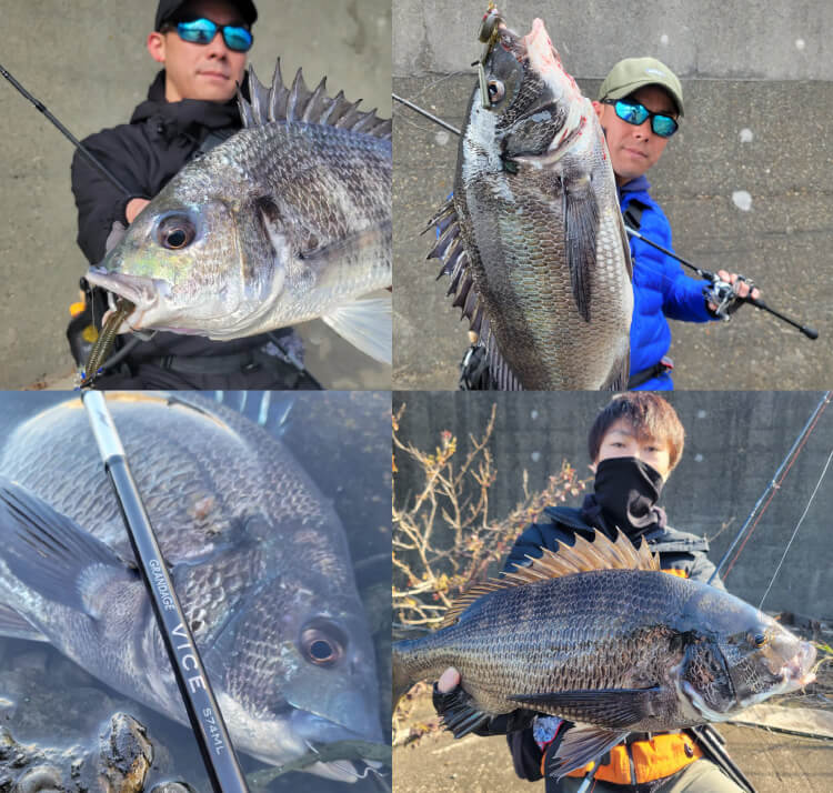 GRANDAGE VICE | APIA