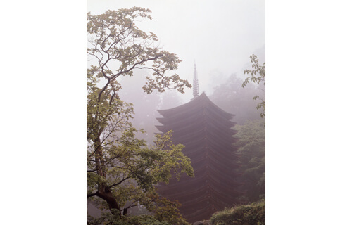 開館25周年記念 入江泰吉 菊池寛賞受賞作品展～『古色大和路』『萬葉