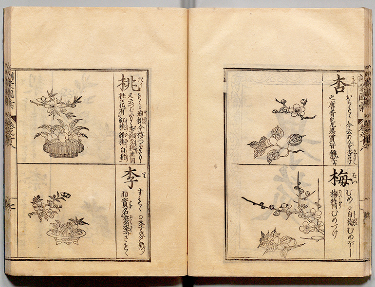 本草学から博物学へ｜江戸の花だより｜国立公文書館